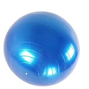 Fortitude Sports Exercise Ball With Pump | Yoga Swiss Ball For Fitness, Pilates, Home and Gym