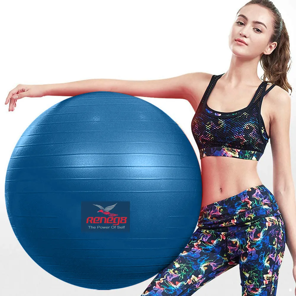 Home Gym Workout Stability ball  65 cm Yoga ball Anti-burst With Pump Reneg8