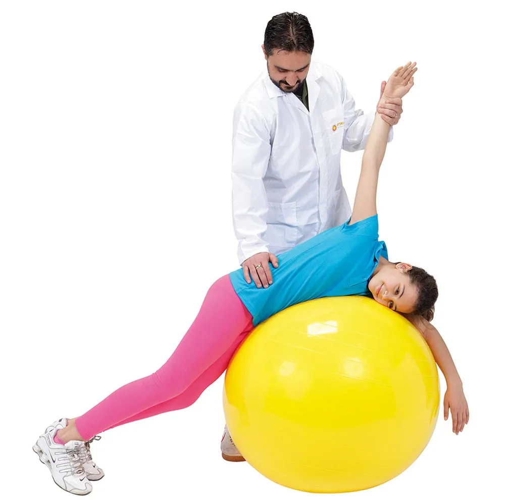 Large Gymnic Classic Exercise Balls