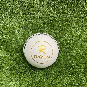 Raydn Club White Cricket Leather Ball