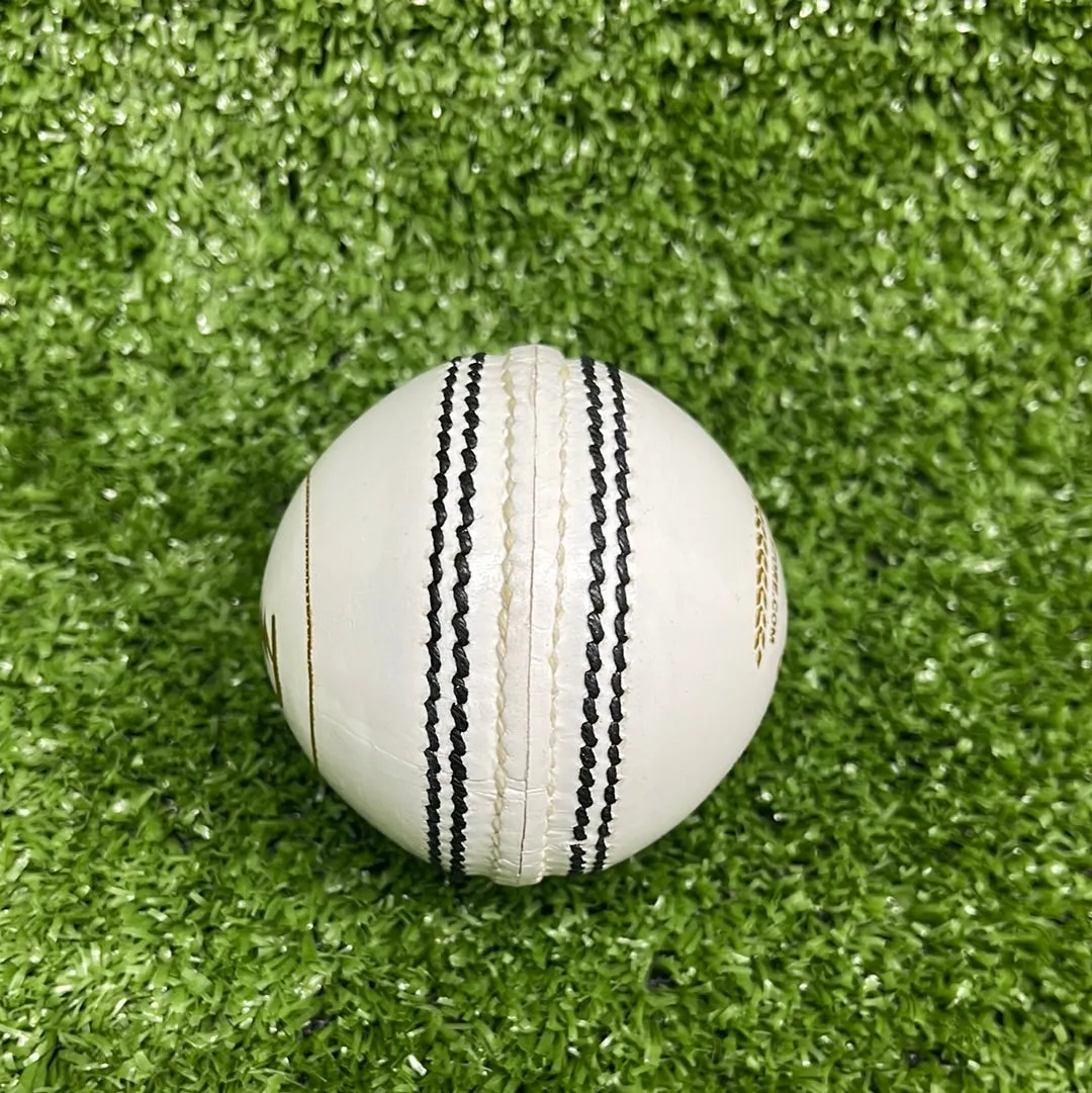 Raydn Club White Cricket Leather Ball