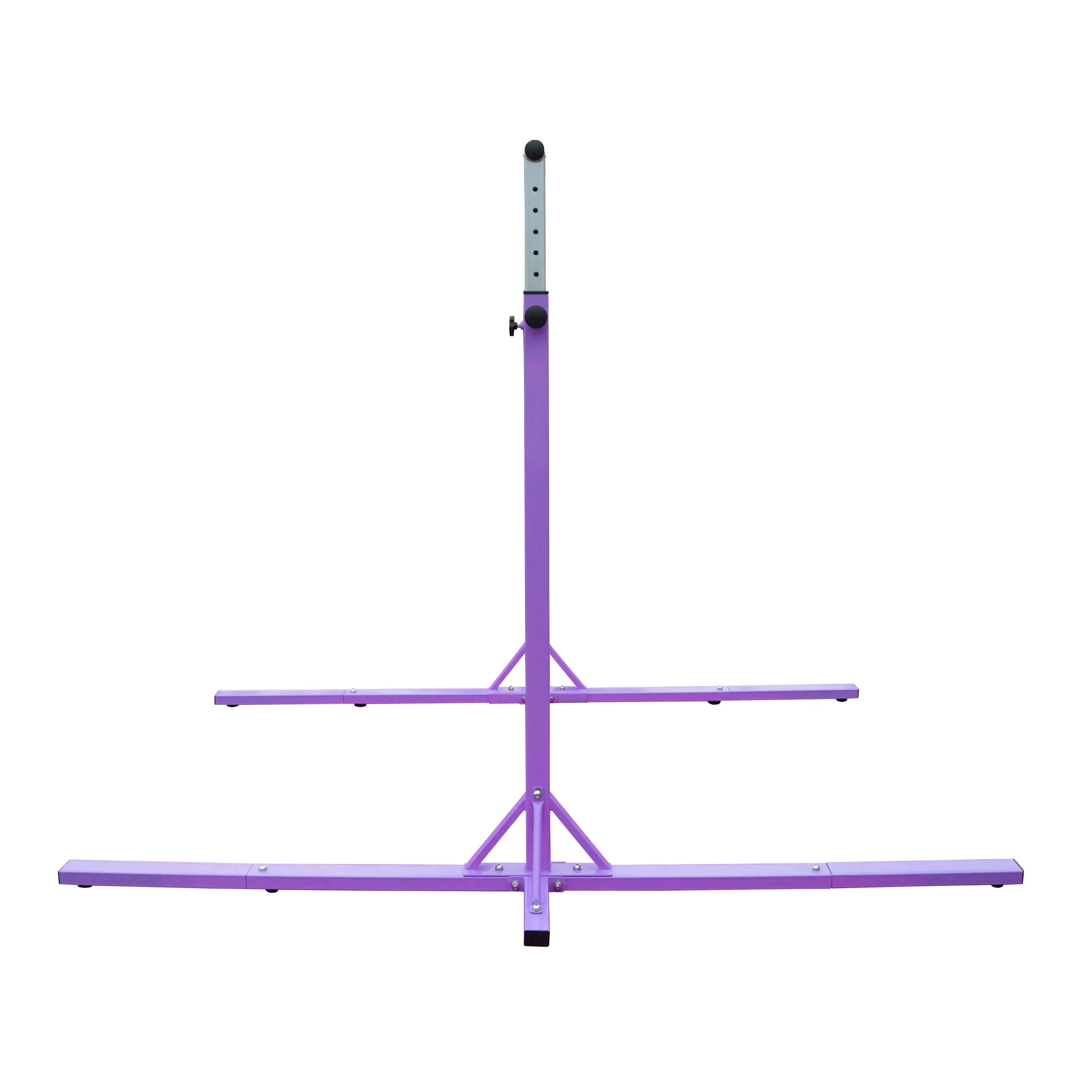 Simple Training Horizontal Bar - Purple