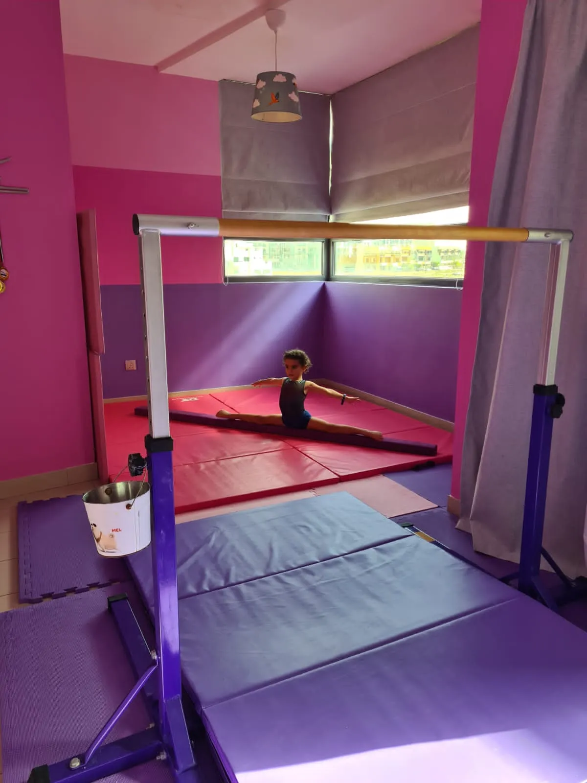 Simple Training Horizontal Bar - Purple