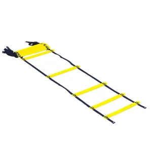 Smart Modular Agility Ladder