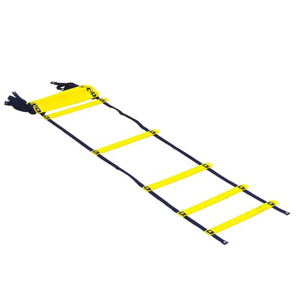 Smart Modular Agility Ladder