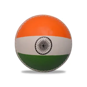 Sturdy Autograph Balls - India